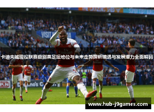 卡迪夫城现役联赛级别英足坛地位与未来走势探析境遇与发展潜力全面解码